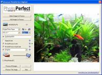 PhotoPerfect DigiCam 1.2.1 screenshot. Click to enlarge!