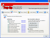Pop-Up Sentry! 4.1.1006 screenshot. Click to enlarge!