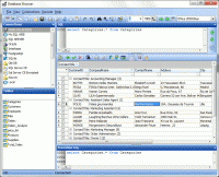Portable Database Browser 5.3.1.9 screenshot. Click to enlarge!