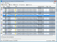 Portable Duplicate & Same Files Searcher 4.3 screenshot. Click to enlarge!