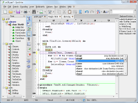 Portable SynWrite 6.39.2750 screenshot. Click to enlarge!