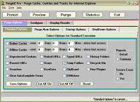 PurgeIE Pro 4.04 screenshot. Click to enlarge!