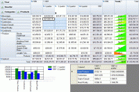 RadarCube Windows Forms Desktop OLAP 3.03.0.0 screenshot. Click to enlarge!