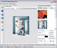 ReaGIF convert to GIF 2.3 screenshot. Click to enlarge!