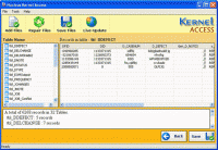 Repair MS Access 7.06.03 screenshot. Click to enlarge!