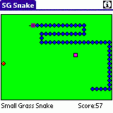 SG Snake for PALM 3.0 screenshot. Click to enlarge!