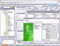 SQL Manager 2011 Lite for PostgreSQL 5.1.1.8 screenshot. Click to enlarge!