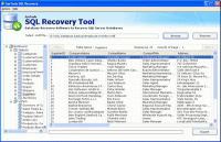 SQL Recovery Tool 4.9 screenshot. Click to enlarge!