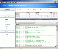 SQL Server Backup 10.6.6 screenshot. Click to enlarge!