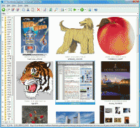 ST Thumbnails Explorer 1.2.3300 screenshot. Click to enlarge!