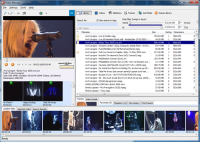 Saleen Video Manager 1.0.0.355 screenshot. Click to enlarge!