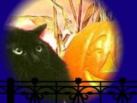 Screechy Cat Halloween Wallpaper 2.0 screenshot. Click to enlarge!