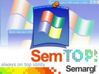 SemTop! 3.0 screenshot. Click to enlarge!