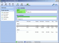 Server Partition Assistant Free Edition 4.0 screenshot. Click to enlarge!
