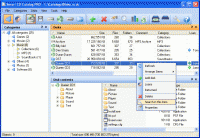 Smart CD Catalog Professional 3.07 screenshot. Click to enlarge!