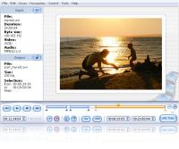 SolveigMM Video Splitter 3.6.1301.11 screenshot. Click to enlarge!