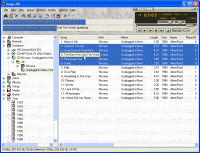 Songs-DB 1.3 screenshot. Click to enlarge!