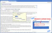 Spell Checker for Chrome 0.9.3.2 screenshot. Click to enlarge!
