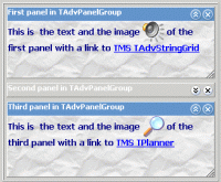 TAdvPanel & AdvPanelGroup 2.2.1.2 screenshot. Click to enlarge!