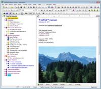 TreePad Business Edition 7.7.5 screenshot. Click to enlarge!