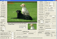 VISCOM Image Viewer CP Pro ActiveX SDK 9.51 screenshot. Click to enlarge!