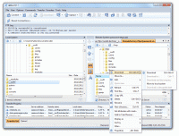 WISE-FTP 9.0.1 screenshot. Click to enlarge!