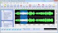WaveMax Sound Editor 6.5.2 screenshot. Click to enlarge!