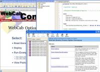 WebCab Options and Futures for Delphi 3.1 screenshot. Click to enlarge!