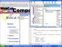 WebCab TA for Delphi (Community Edition) 1 screenshot. Click to enlarge!