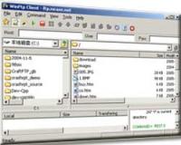 Win FTP Client Professional 1.90 screenshot. Click to enlarge!