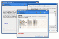 WinUtilities Disk Cleaner 4.71 screenshot. Click to enlarge!