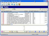 Wingnut Task Tracker 3.03 screenshot. Click to enlarge!