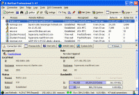 X-NetStat Professional 5.57 screenshot. Click to enlarge!