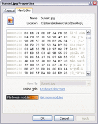 febooti fileTweak Hex Editor 3.7.0 screenshot. Click to enlarge!