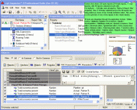 .rpt Inspector Professional Suite for Crystal Reports 10 3.02 screenshot. Click to enlarge!