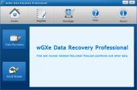 wGXe Data Recovery Professional 2.0.0.0 screenshot. Click to enlarge!